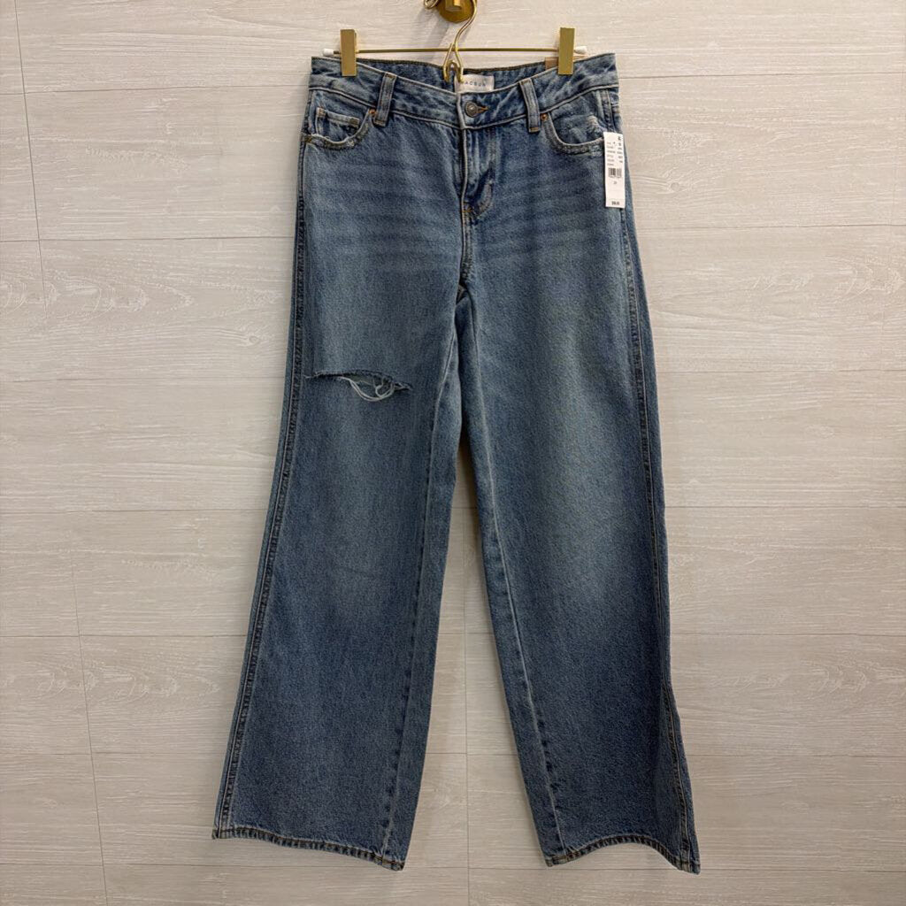 PacSun Medium Wash Distressed Casey Low Rise Baggy Jeans 25