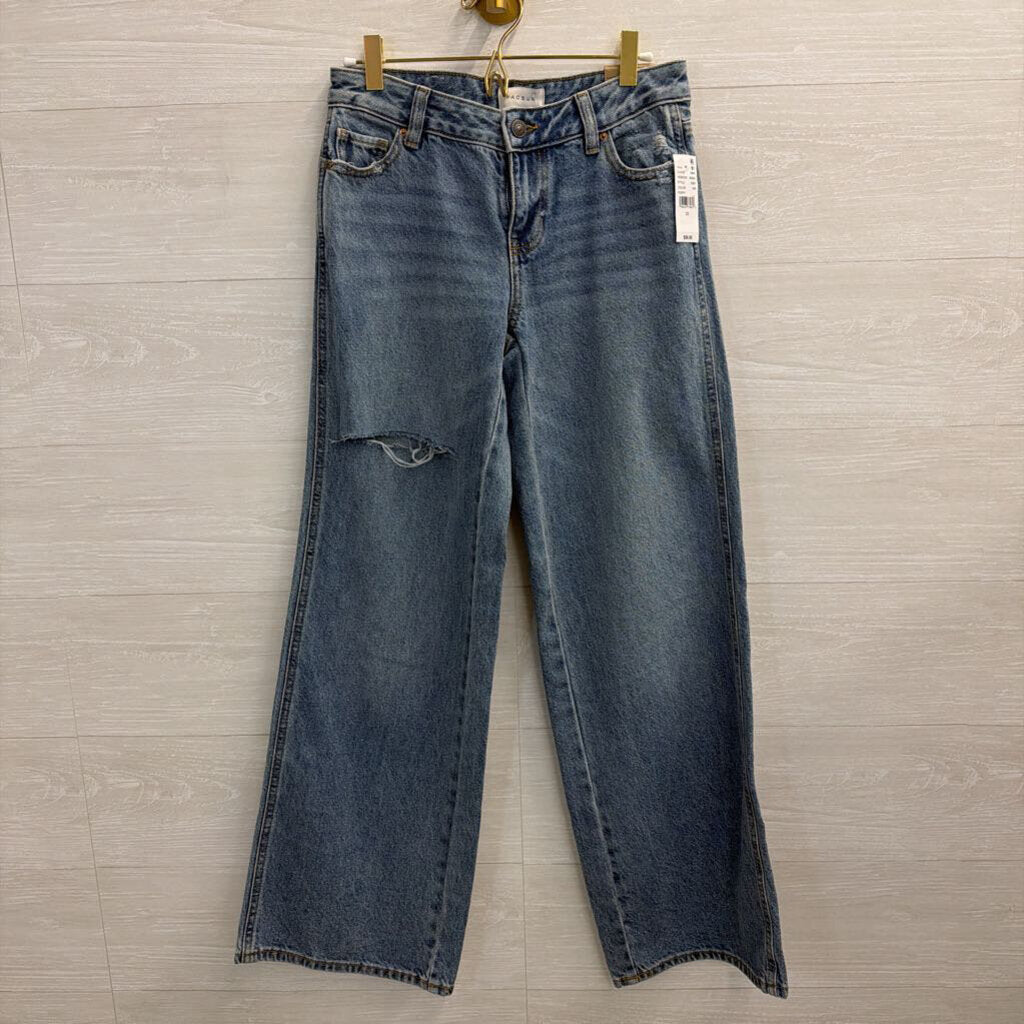 PacSun Medium Wash Distressed Casey Low Rise Baggy Jeans 25