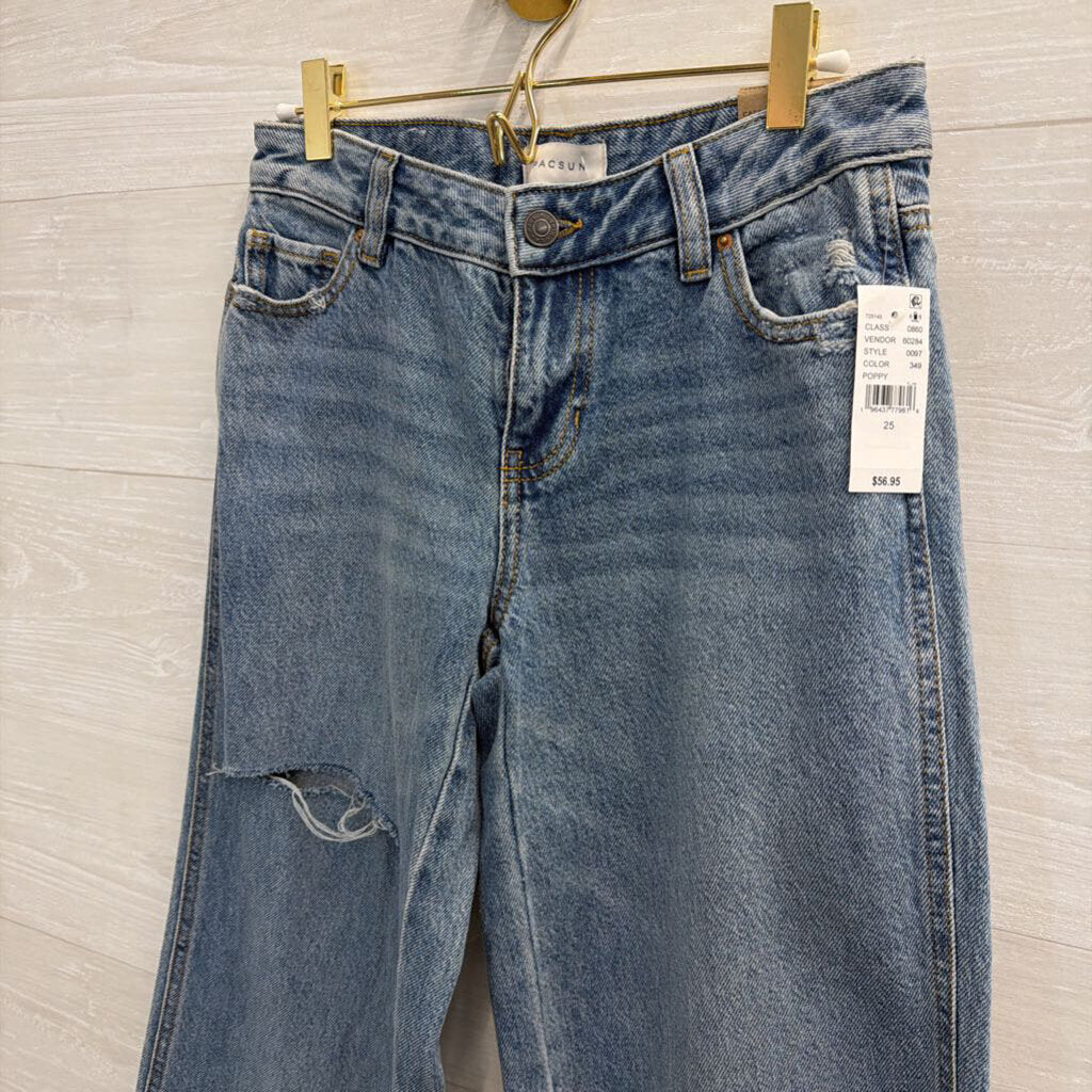 PacSun Medium Wash Distressed Casey Low Rise Baggy Jeans 25