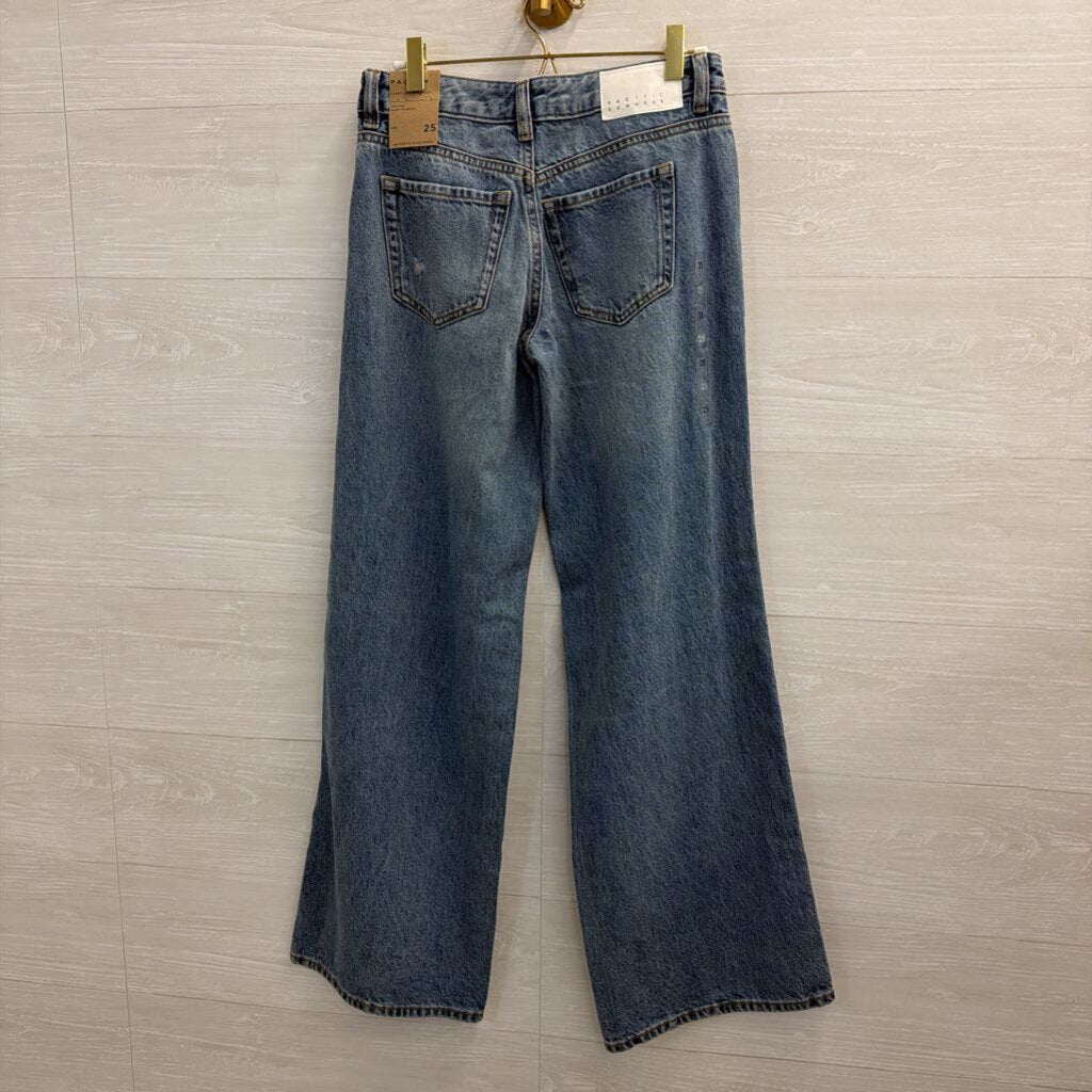 PacSun Medium Wash Distressed Casey Low Rise Baggy Jeans 25