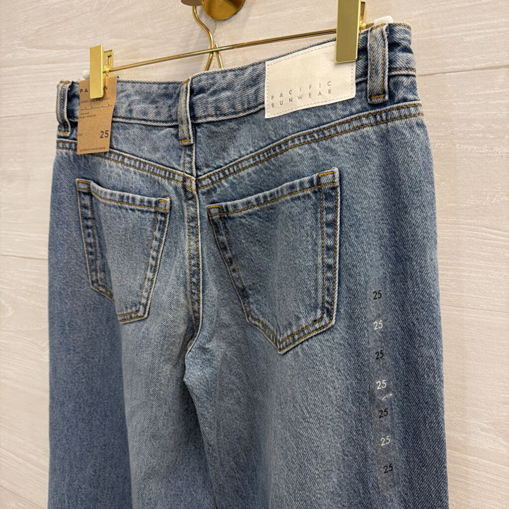 PacSun Medium Wash Distressed Casey Low Rise Baggy Jeans 25