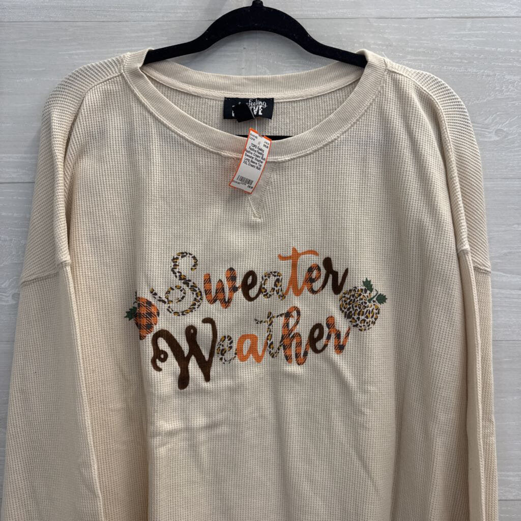 Feeling Festive Cream/ Multi Sweater Weather Long Sleeve Top XXL