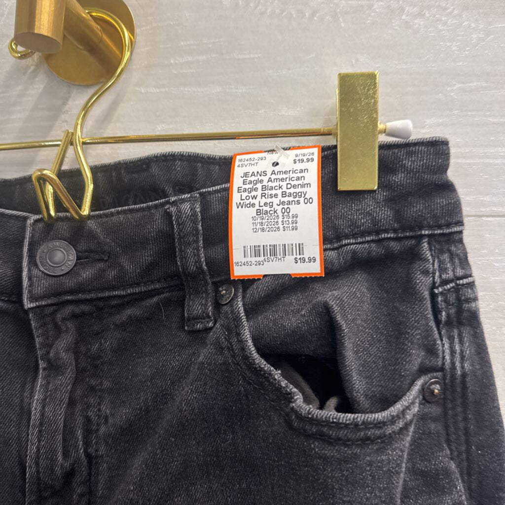 American Eagle Black Denim Low Rise Baggy Wide Leg Jeans 00