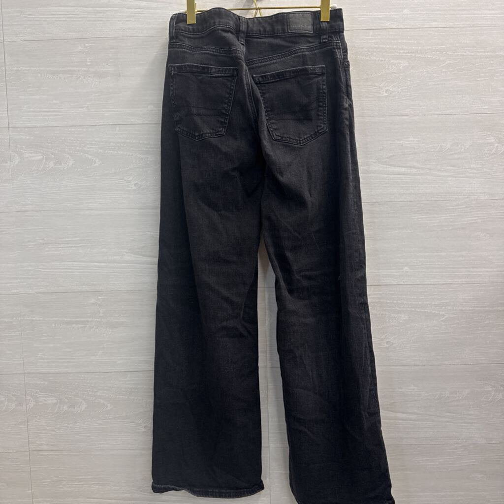 American Eagle Black Denim Low Rise Baggy Wide Leg Jeans 00