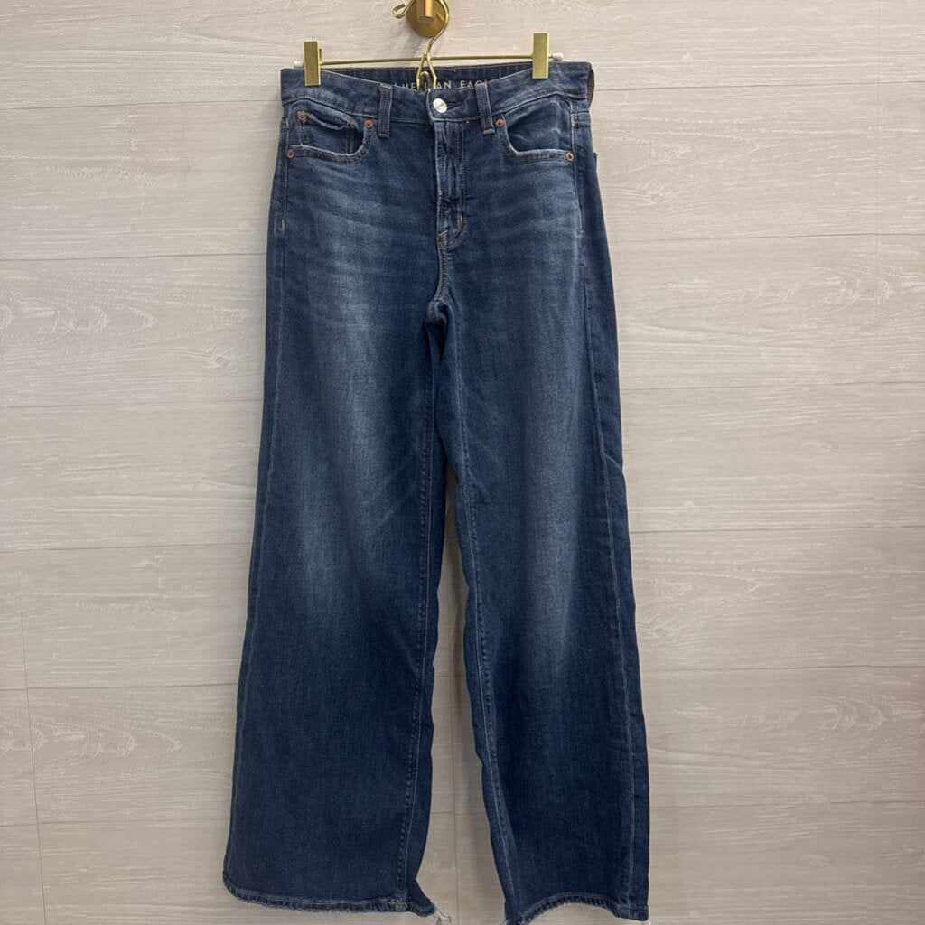 American Eagle Dark Wash Low Rise Baggy Wide Leg Jeans 00
