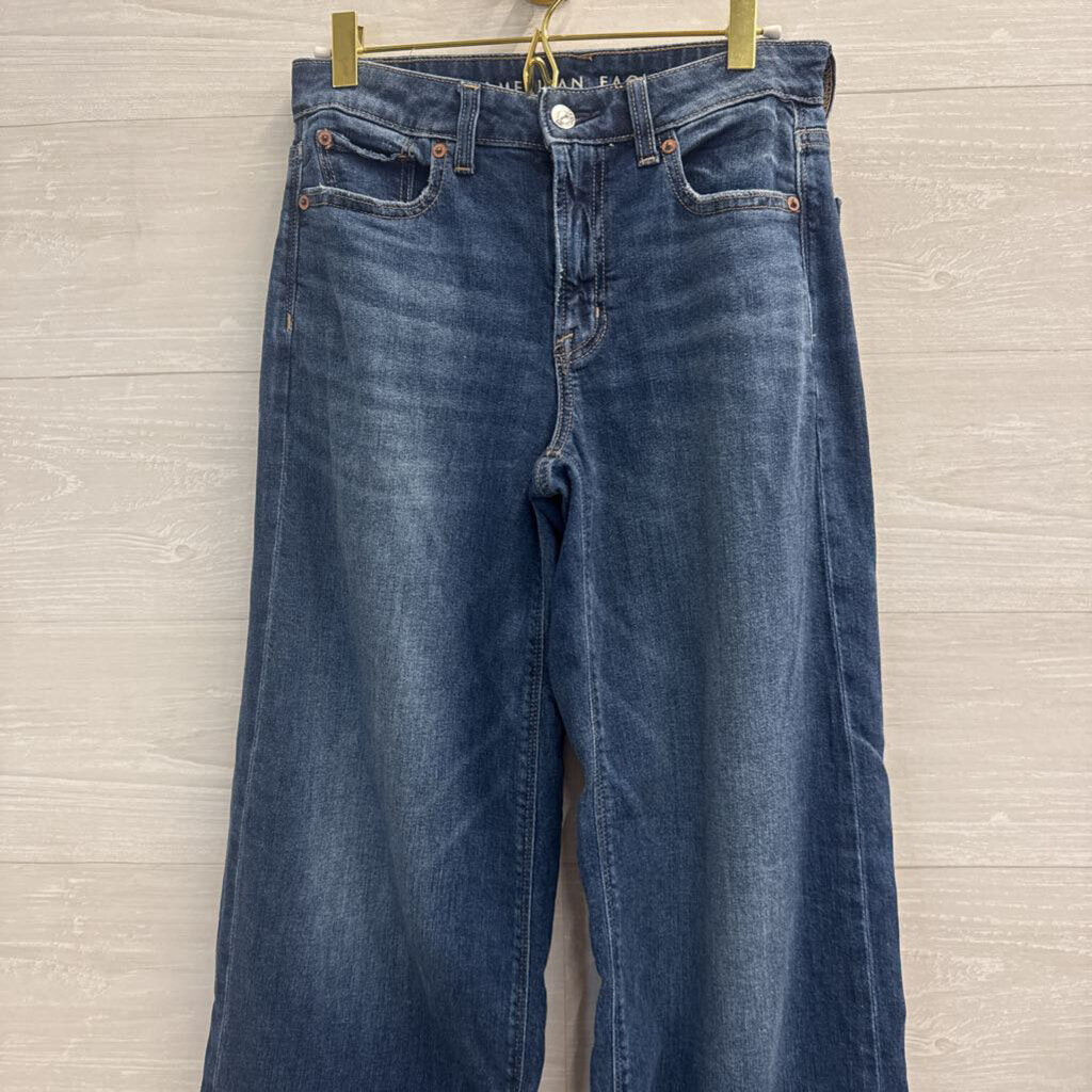 American Eagle Dark Wash Low Rise Baggy Wide Leg Jeans 00