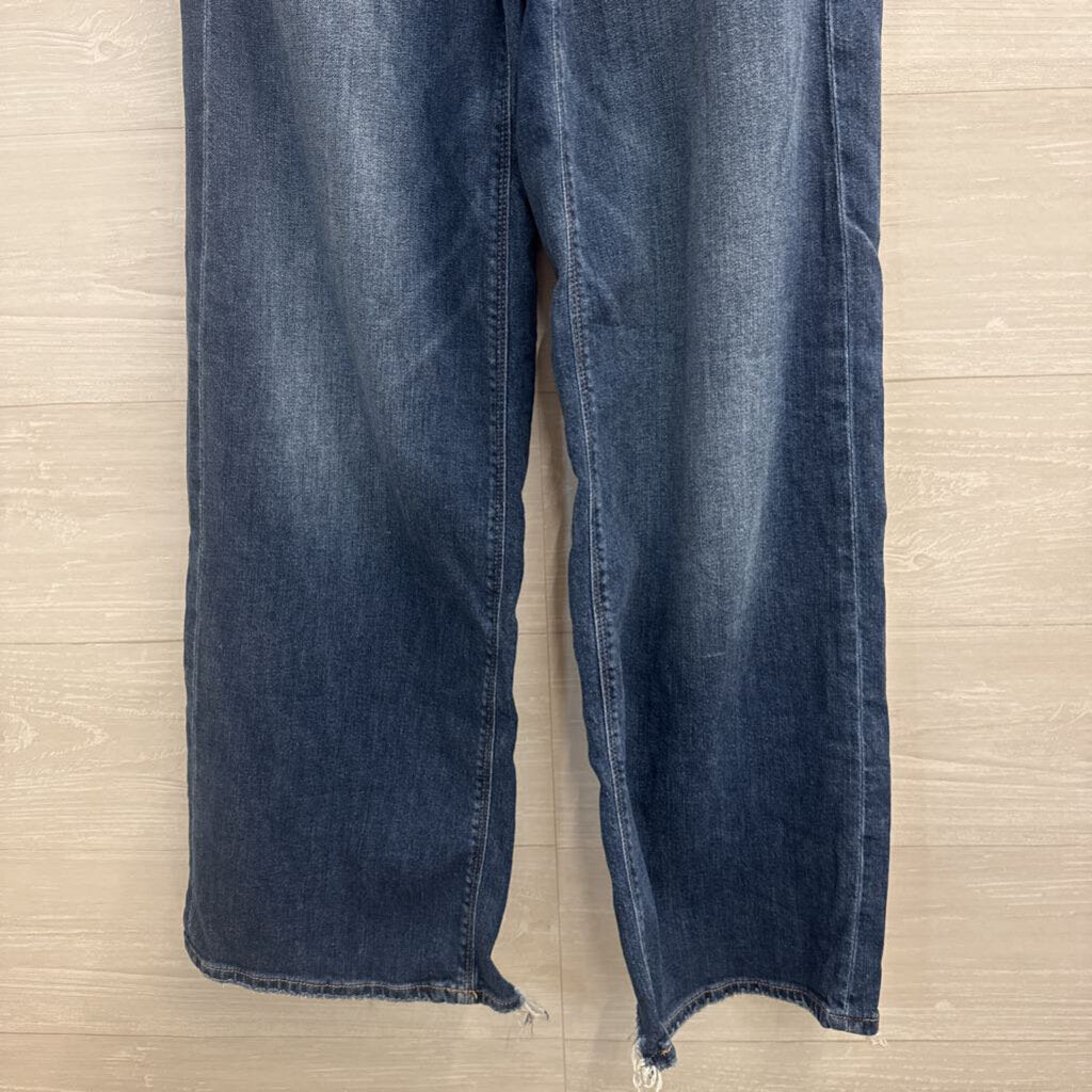 American Eagle Dark Wash Low Rise Baggy Wide Leg Jeans 00