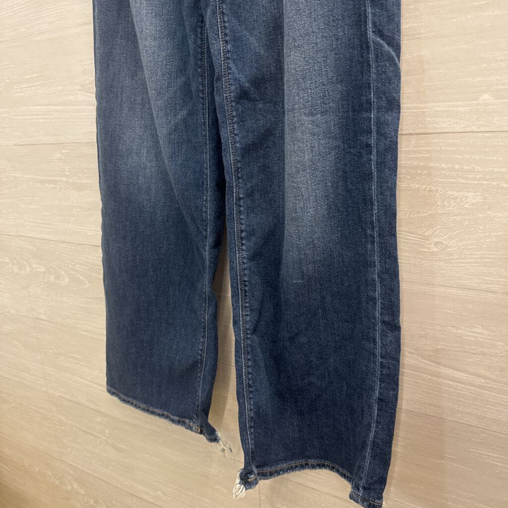 American Eagle Dark Wash Low Rise Baggy Wide Leg Jeans 00