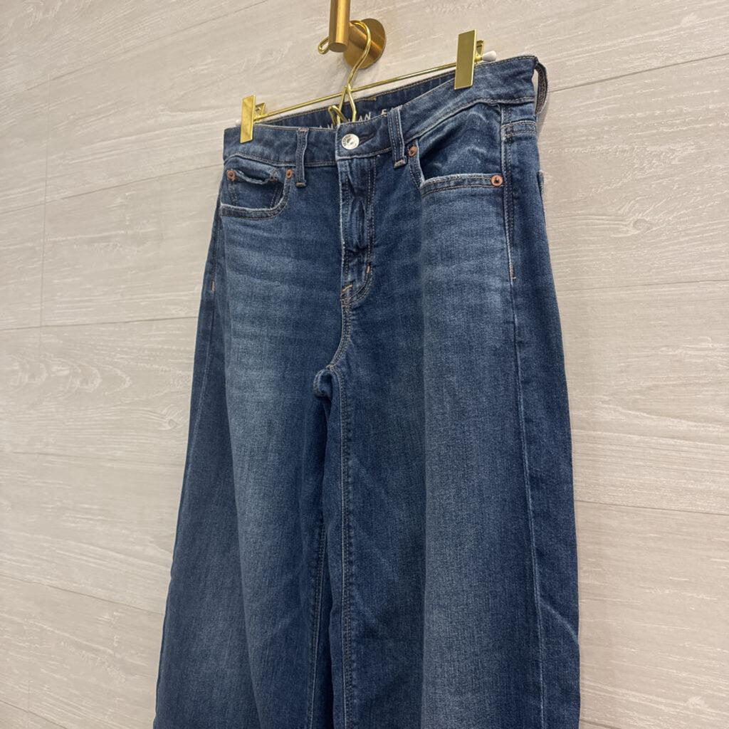 American Eagle Dark Wash Low Rise Baggy Wide Leg Jeans 00