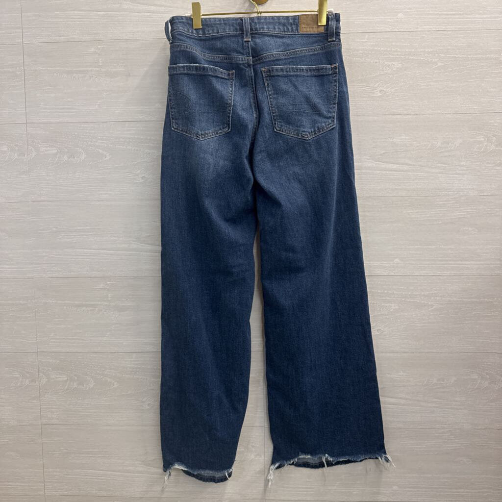 American Eagle Dark Wash Low Rise Baggy Wide Leg Jeans 00