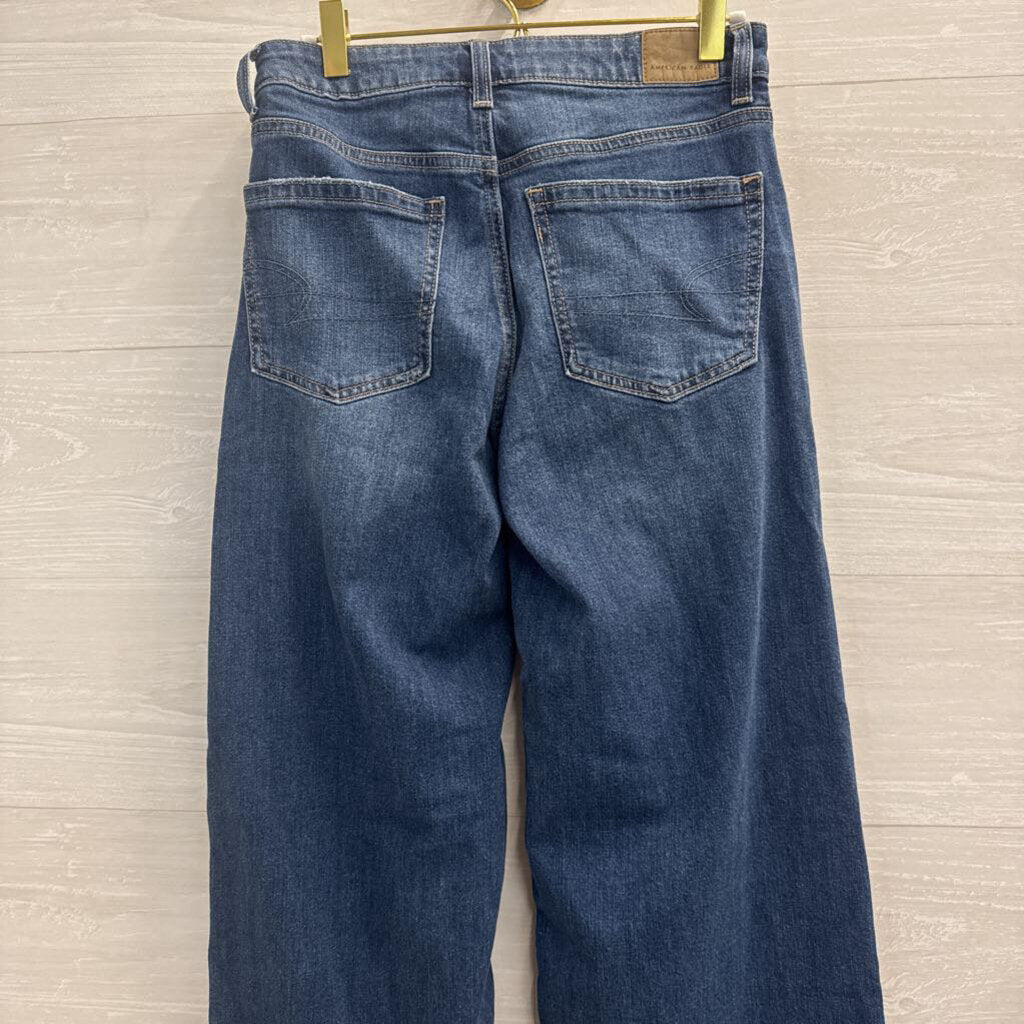 American Eagle Dark Wash Low Rise Baggy Wide Leg Jeans 00