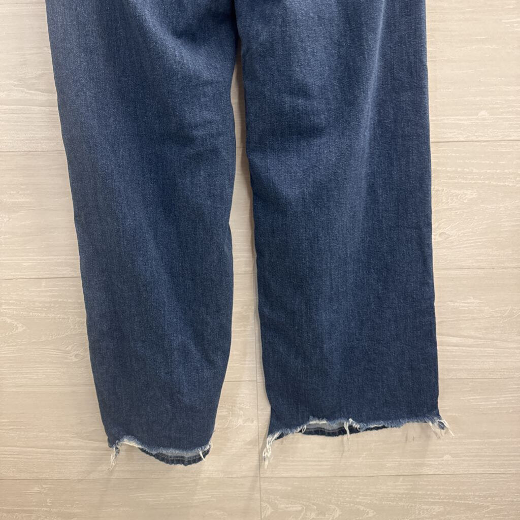 American Eagle Dark Wash Low Rise Baggy Wide Leg Jeans 00