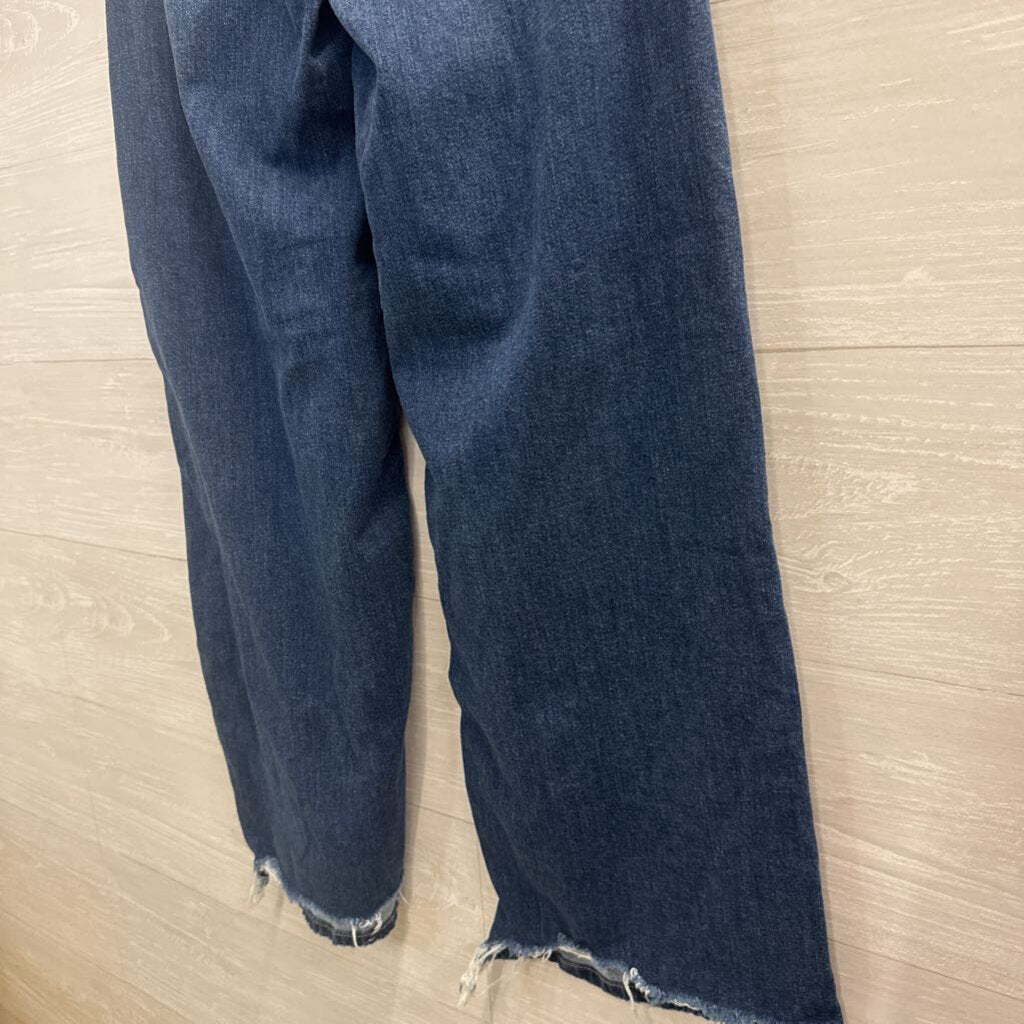 American Eagle Dark Wash Low Rise Baggy Wide Leg Jeans 00