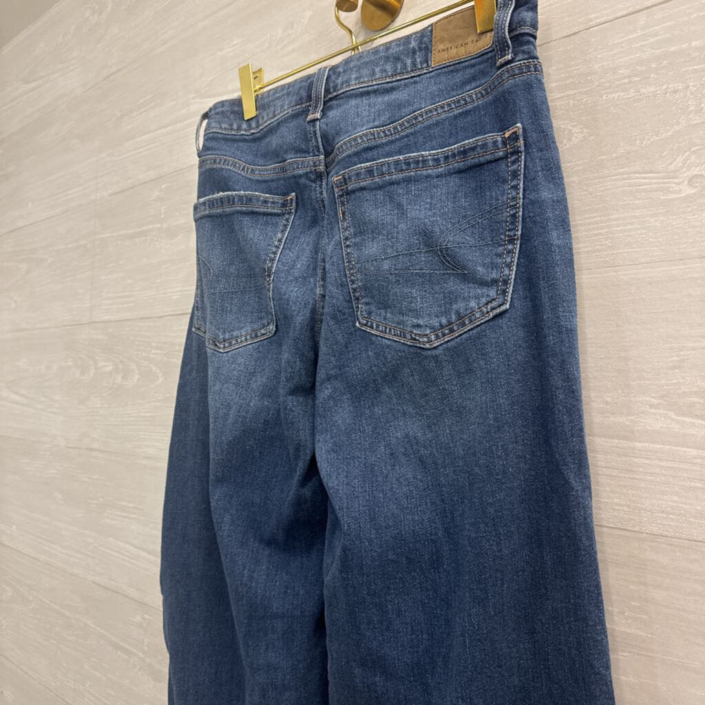 American Eagle Dark Wash Low Rise Baggy Wide Leg Jeans 00