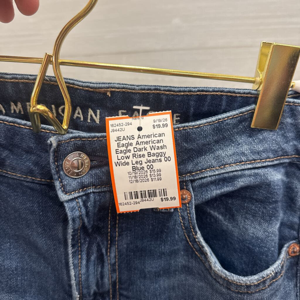 American Eagle Dark Wash Low Rise Baggy Wide Leg Jeans 00
