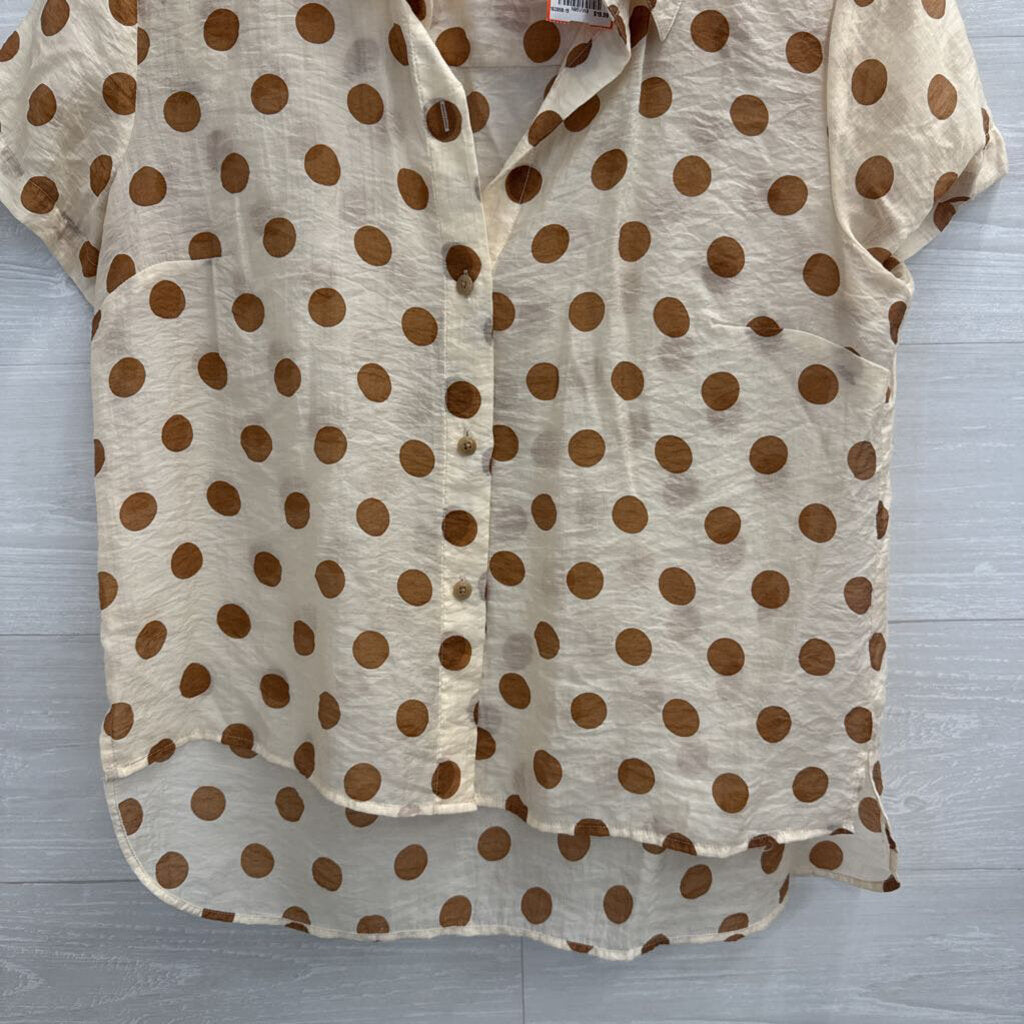 Cabi Cream/ Brown Polka Dot Short Sleeve Button Down Top Medium