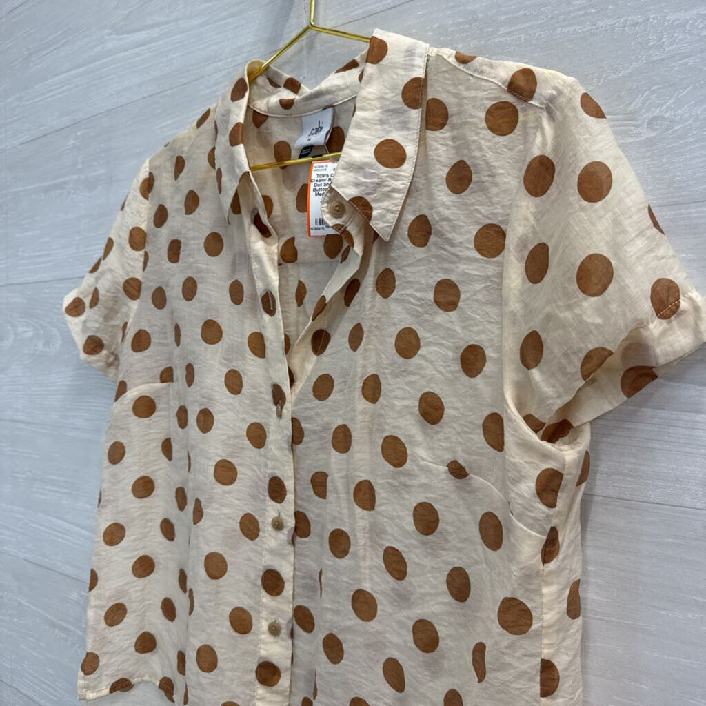 Cabi Cream/ Brown Polka Dot Short Sleeve Button Down Top Medium