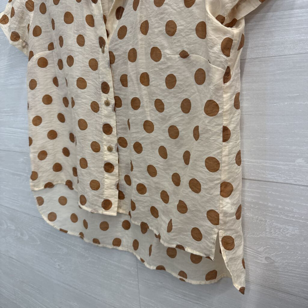 Cabi Cream/ Brown Polka Dot Short Sleeve Button Down Top Medium