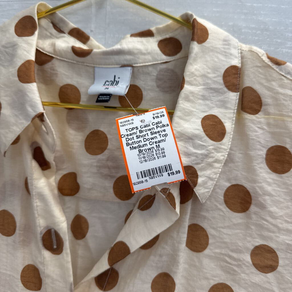 Cabi Cream/ Brown Polka Dot Short Sleeve Button Down Top Medium