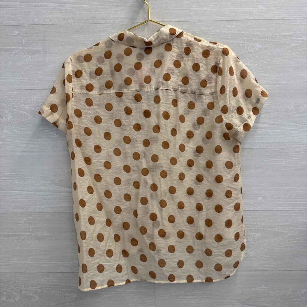 Cabi Cream/ Brown Polka Dot Short Sleeve Button Down Top Medium