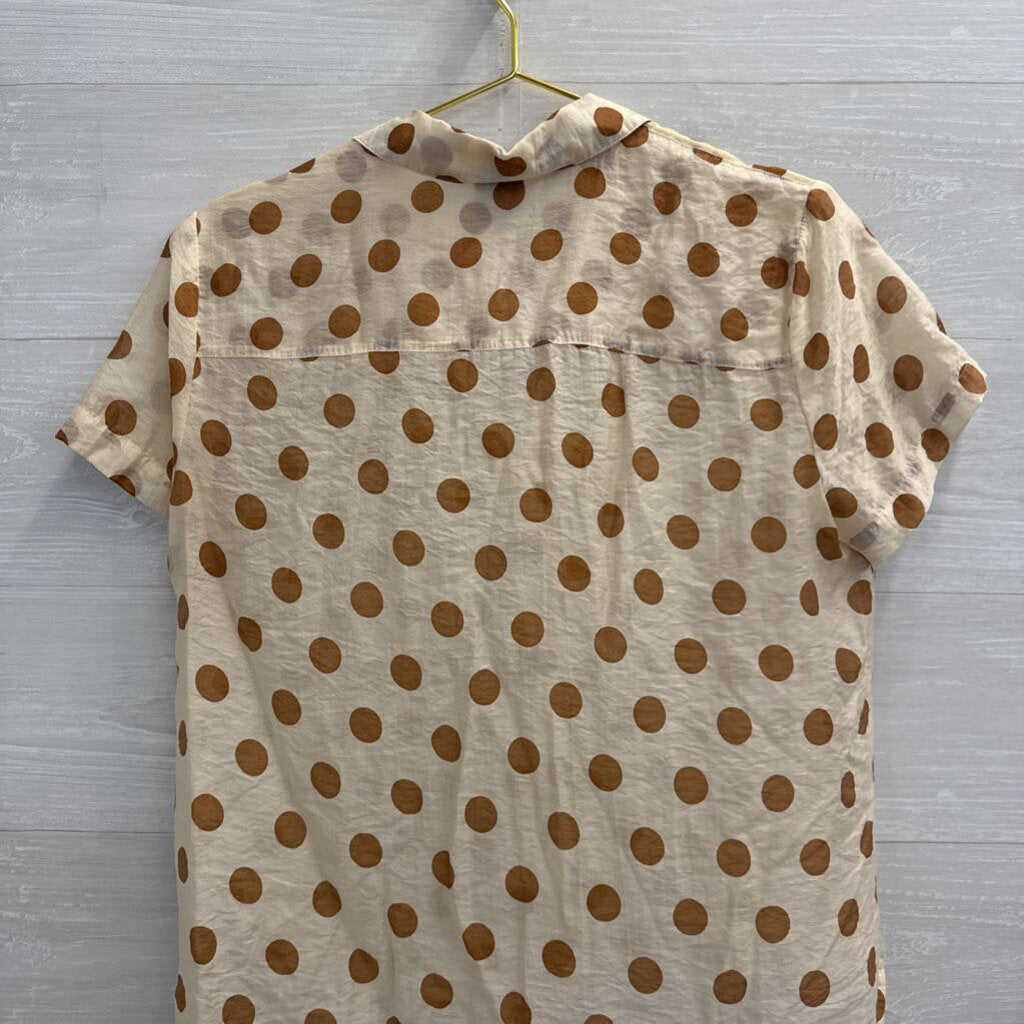 Cabi Cream/ Brown Polka Dot Short Sleeve Button Down Top Medium