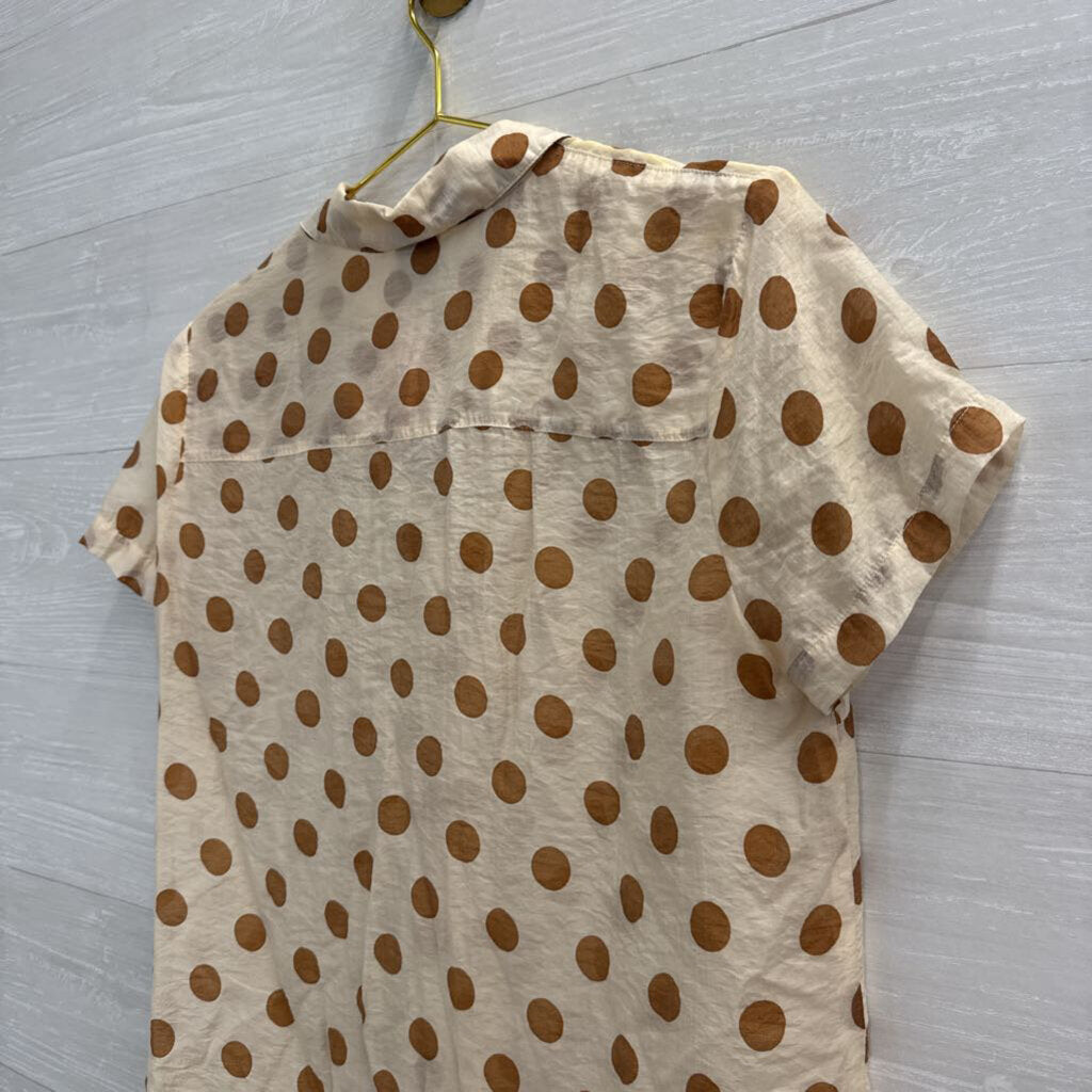 Cabi Cream/ Brown Polka Dot Short Sleeve Button Down Top Medium