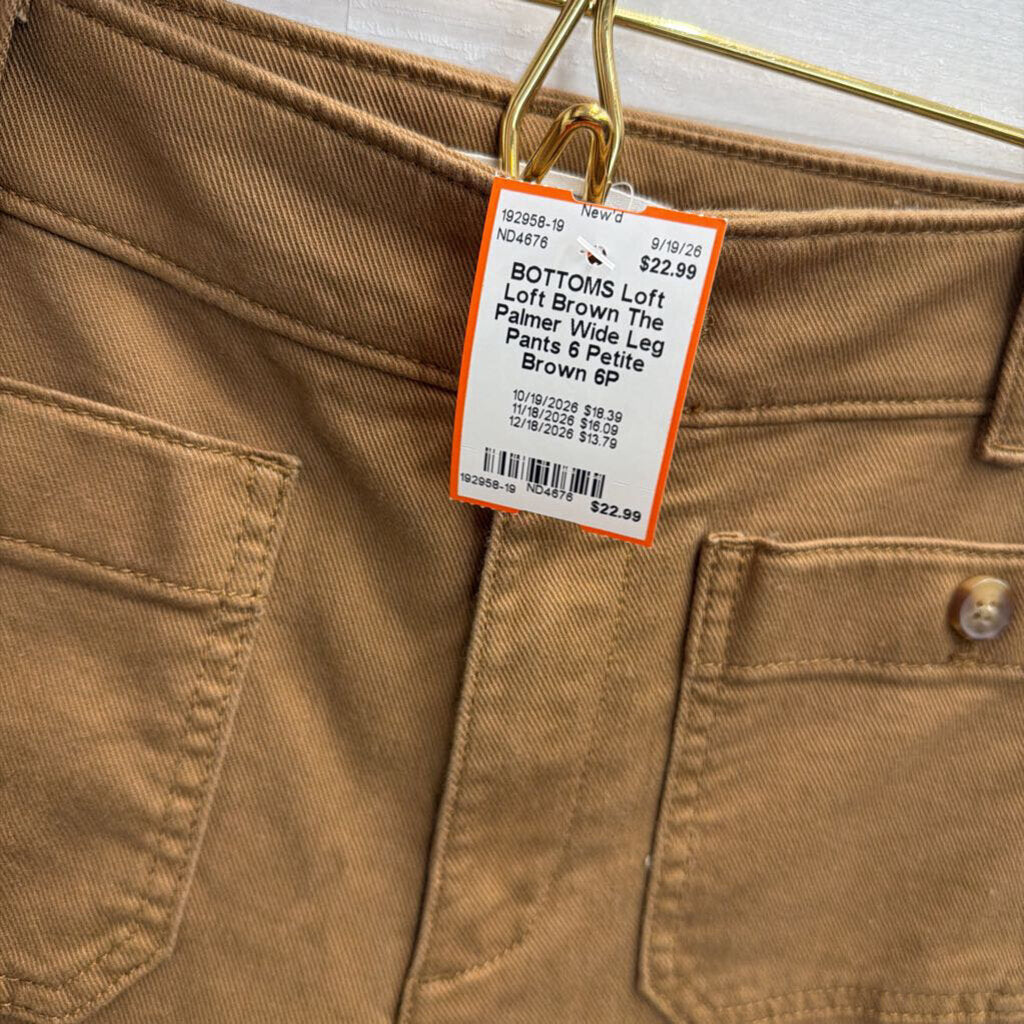Loft Brown The Palmer Wide Leg Pants 6 Petite