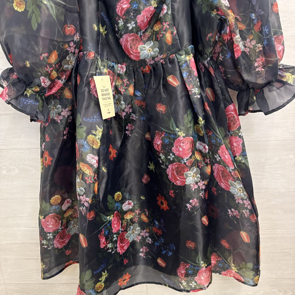 Jessakae Black/ Multi Floral Print Puff Sleeve Dress 3X