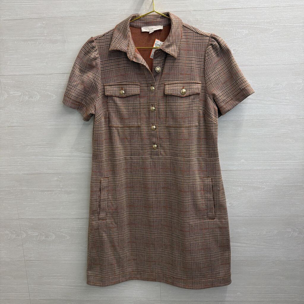 Loft Brown Plaid Short Sleeve Dress 8