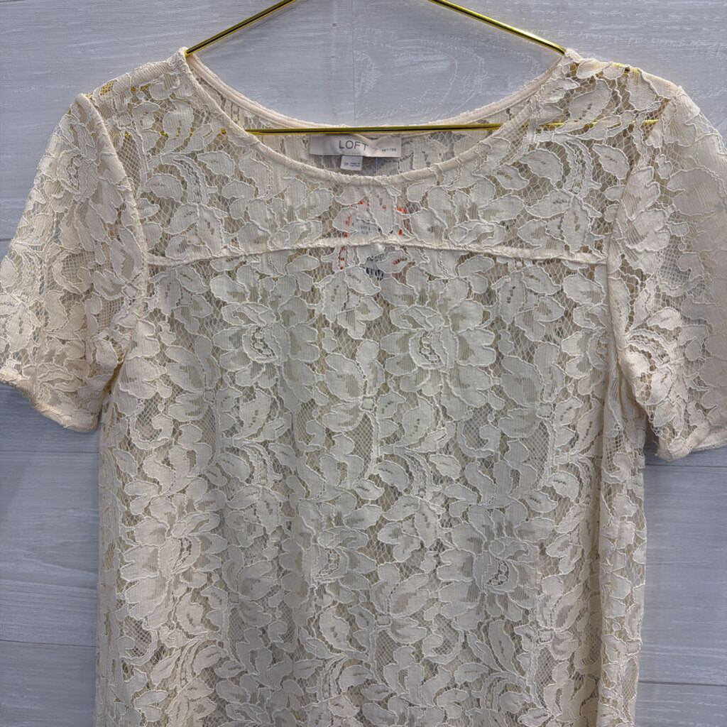 Loft Cream Lace Short Sleeve Top Small Petite