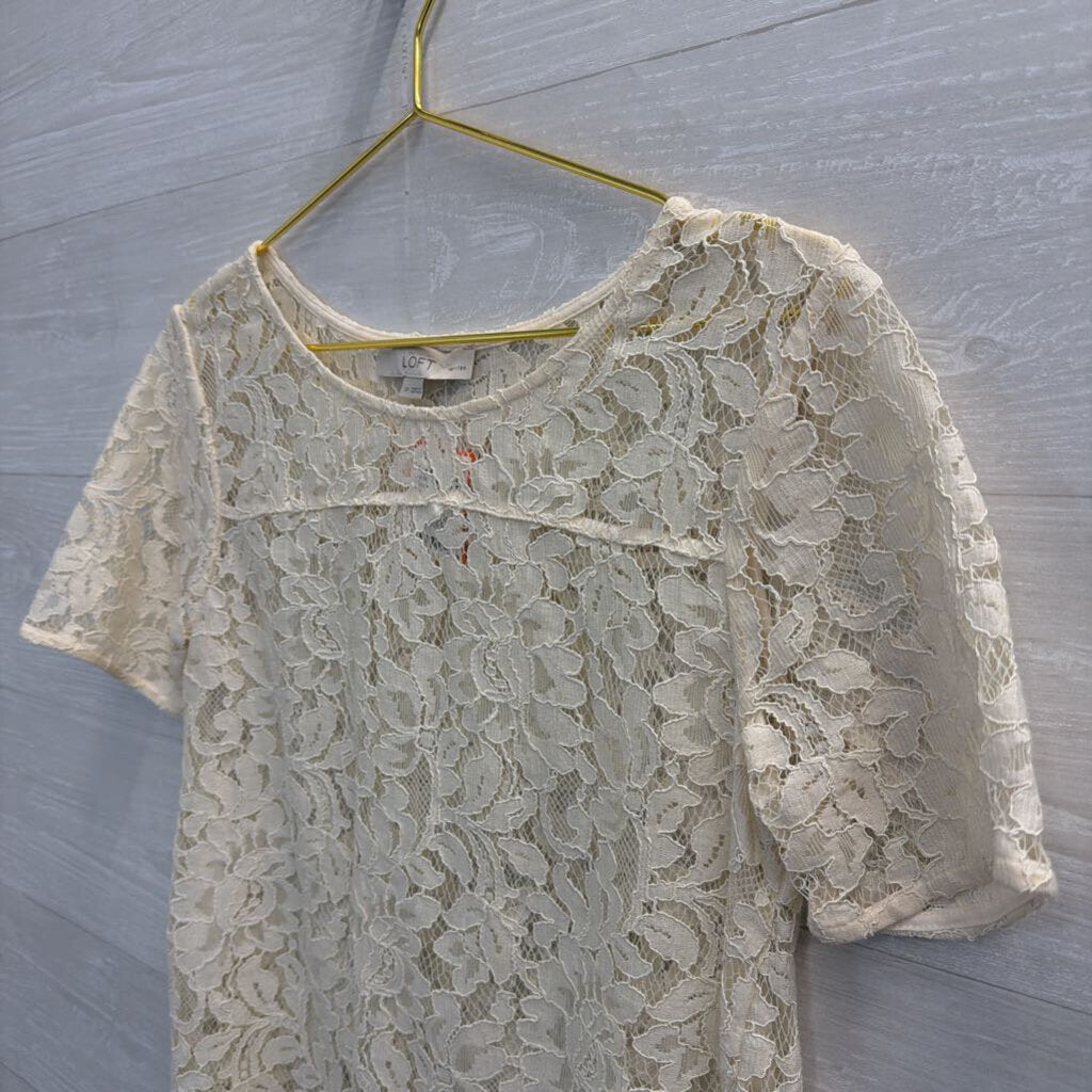 Loft Cream Lace Short Sleeve Top Small Petite