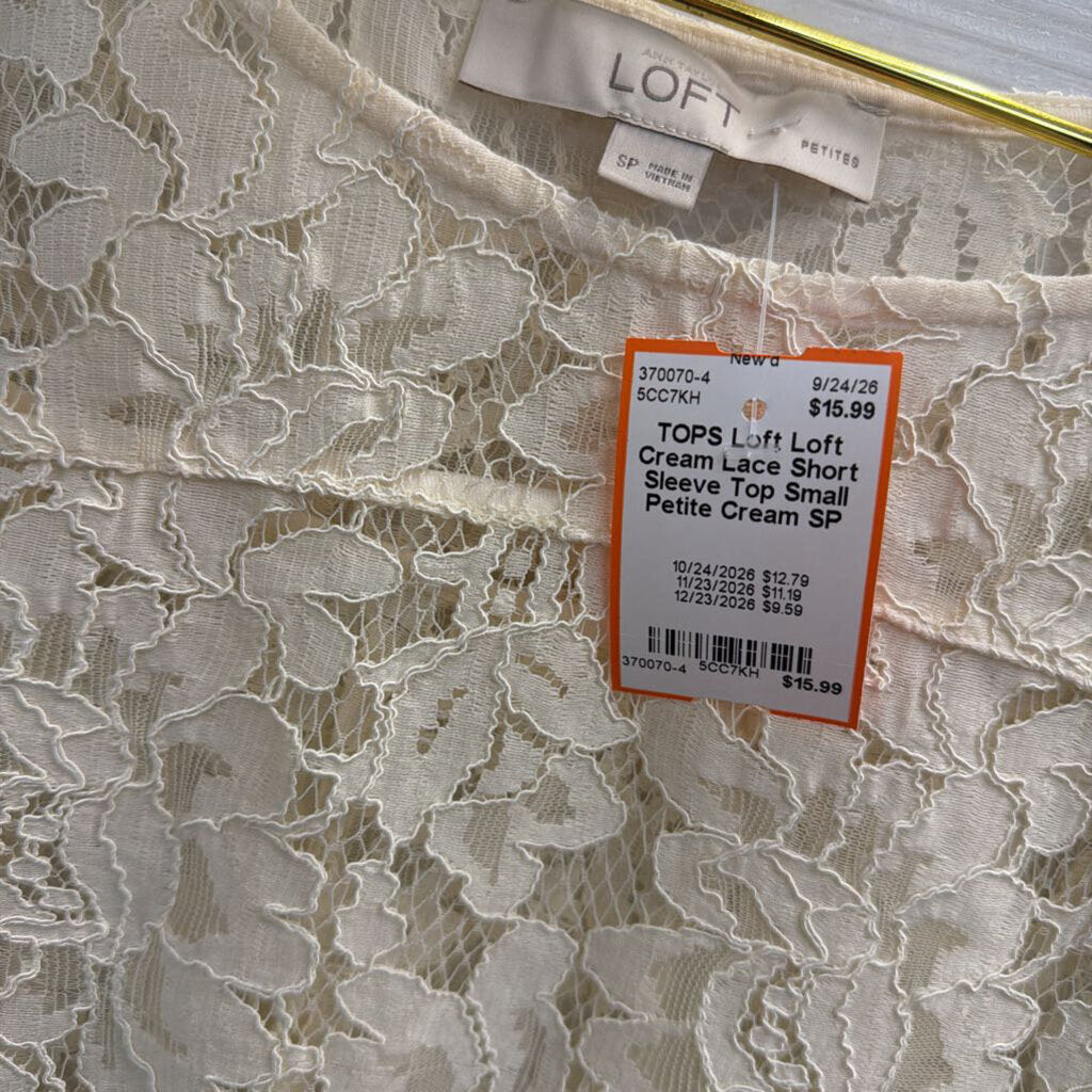 Loft Cream Lace Short Sleeve Top Small Petite