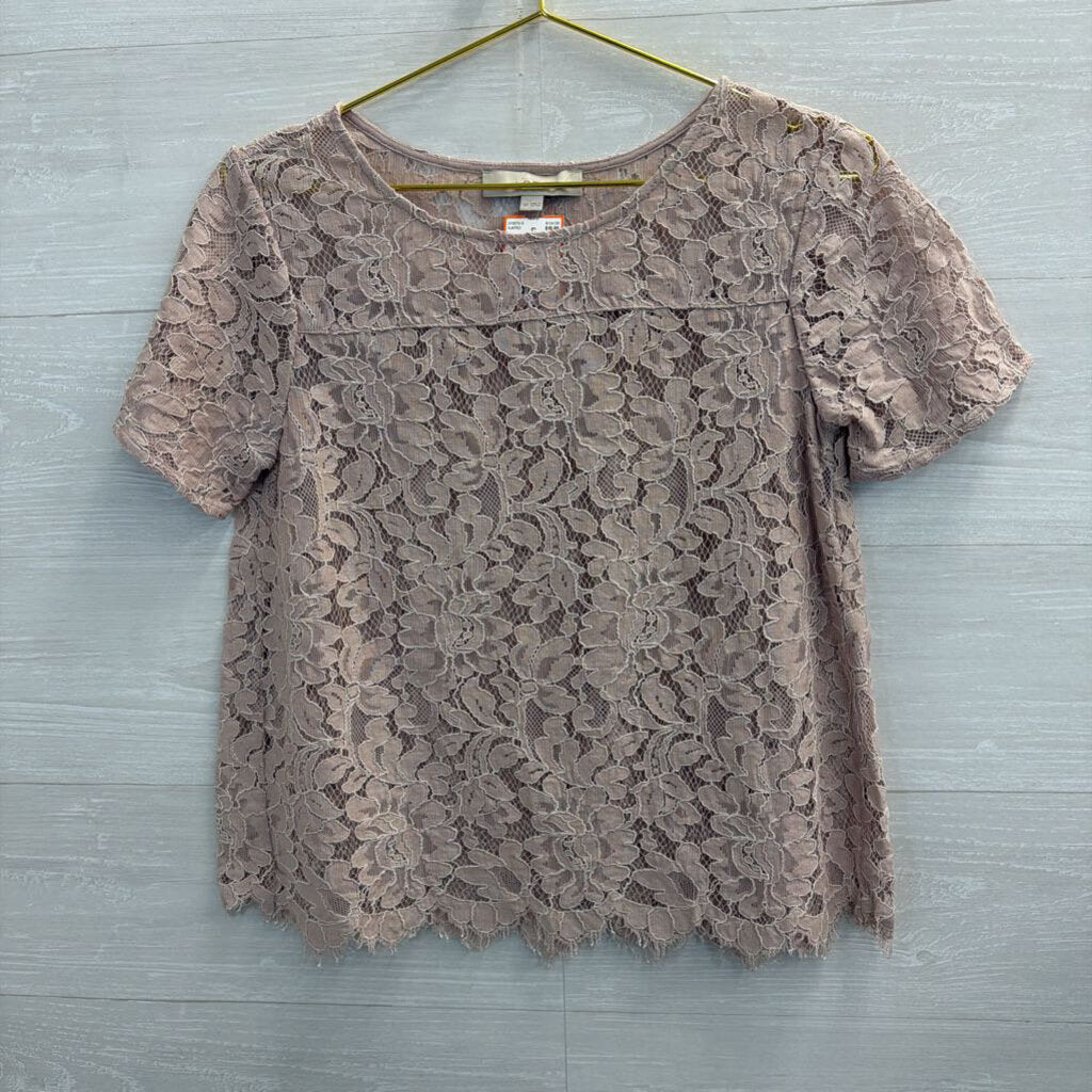 Loft Pink Lace Short Sleeve Top Small Petite