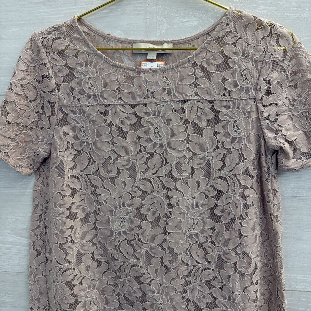 Loft Pink Lace Short Sleeve Top Small Petite