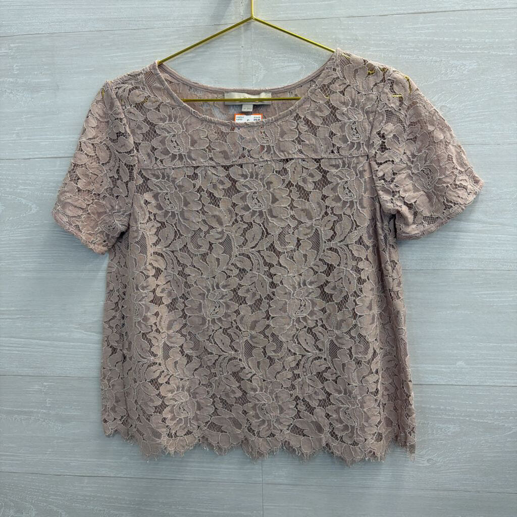 Loft Pink Lace Short Sleeve Top Small Petite