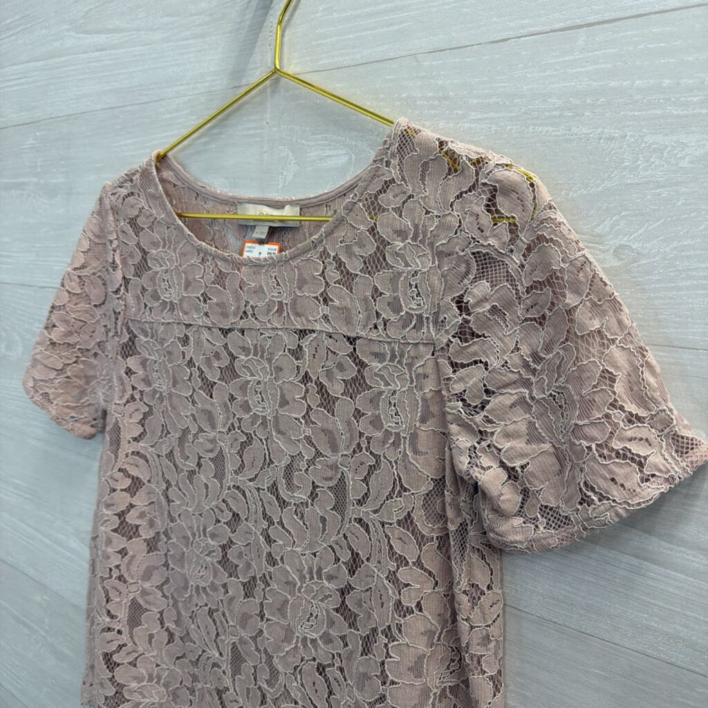Loft Pink Lace Short Sleeve Top Small Petite
