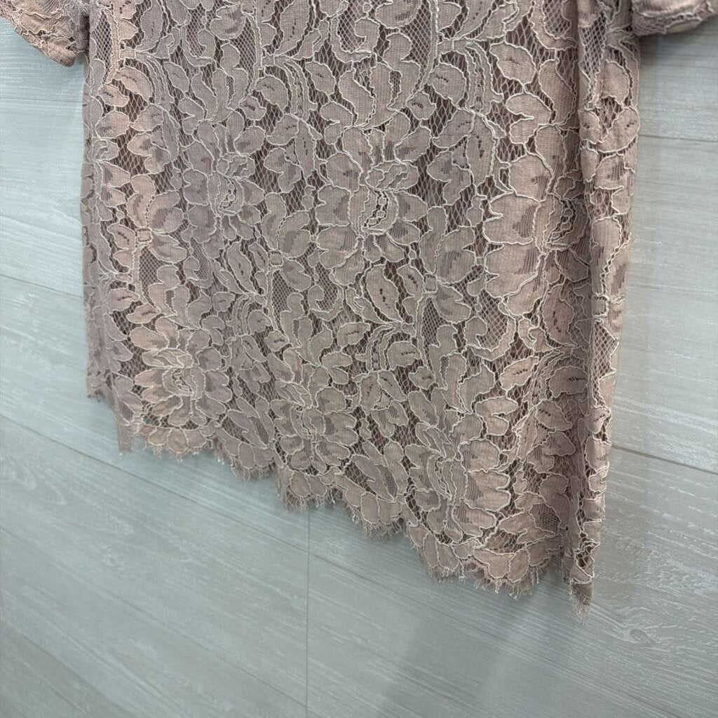 Loft Pink Lace Short Sleeve Top Small Petite
