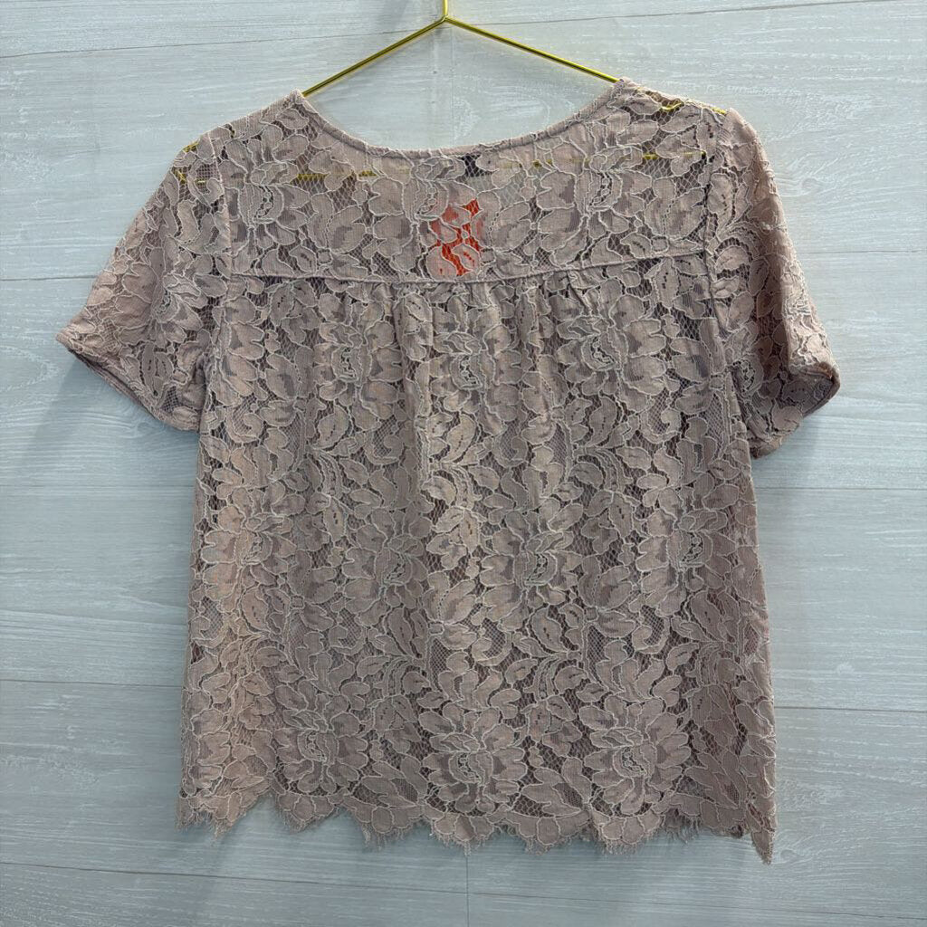 Loft Pink Lace Short Sleeve Top Small Petite