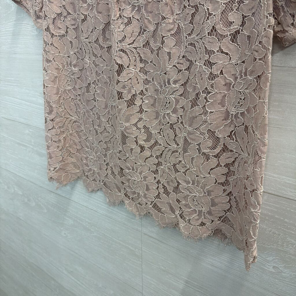 Loft Pink Lace Short Sleeve Top Small Petite