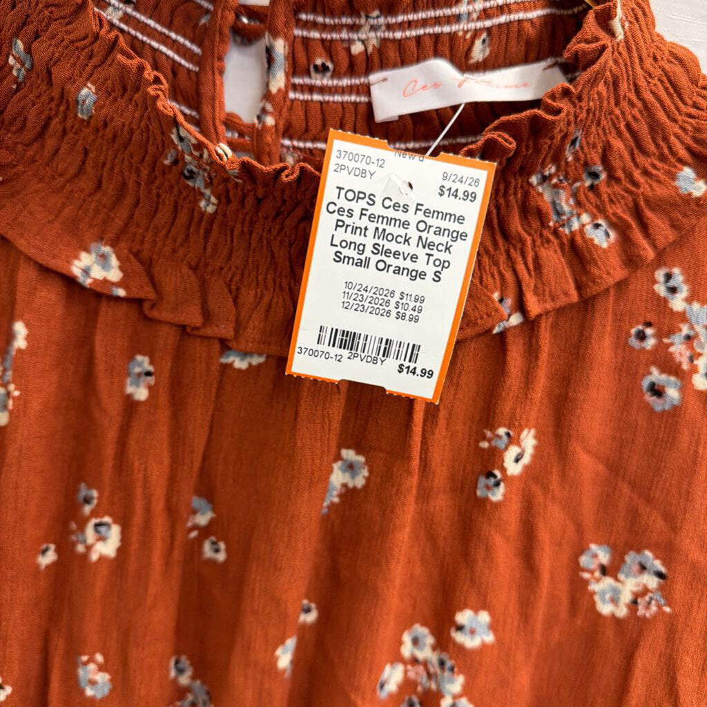 Ces Femme Orange Print Mock Neck Long Sleeve Top Small