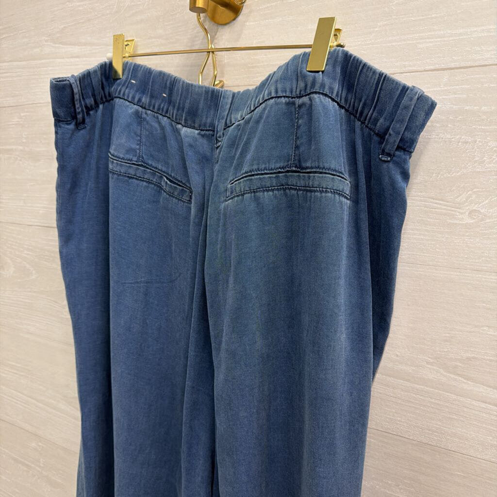American Eagle Blue Chambray Wide Leg Pants 18