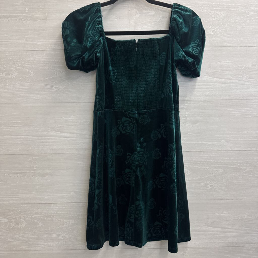 Francescas Green Velvet Print Short Puff Sleeve Dress Medium