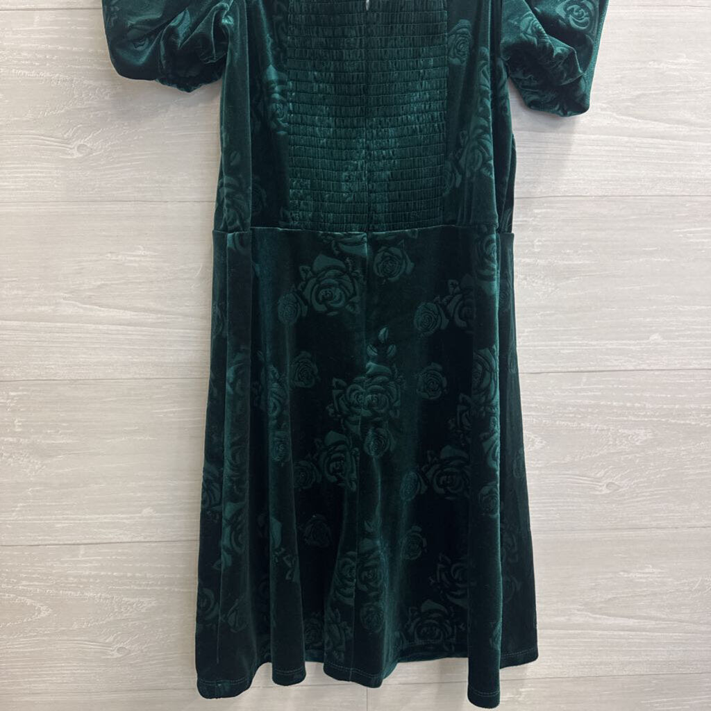 Francescas Green Velvet Print Short Puff Sleeve Dress Medium