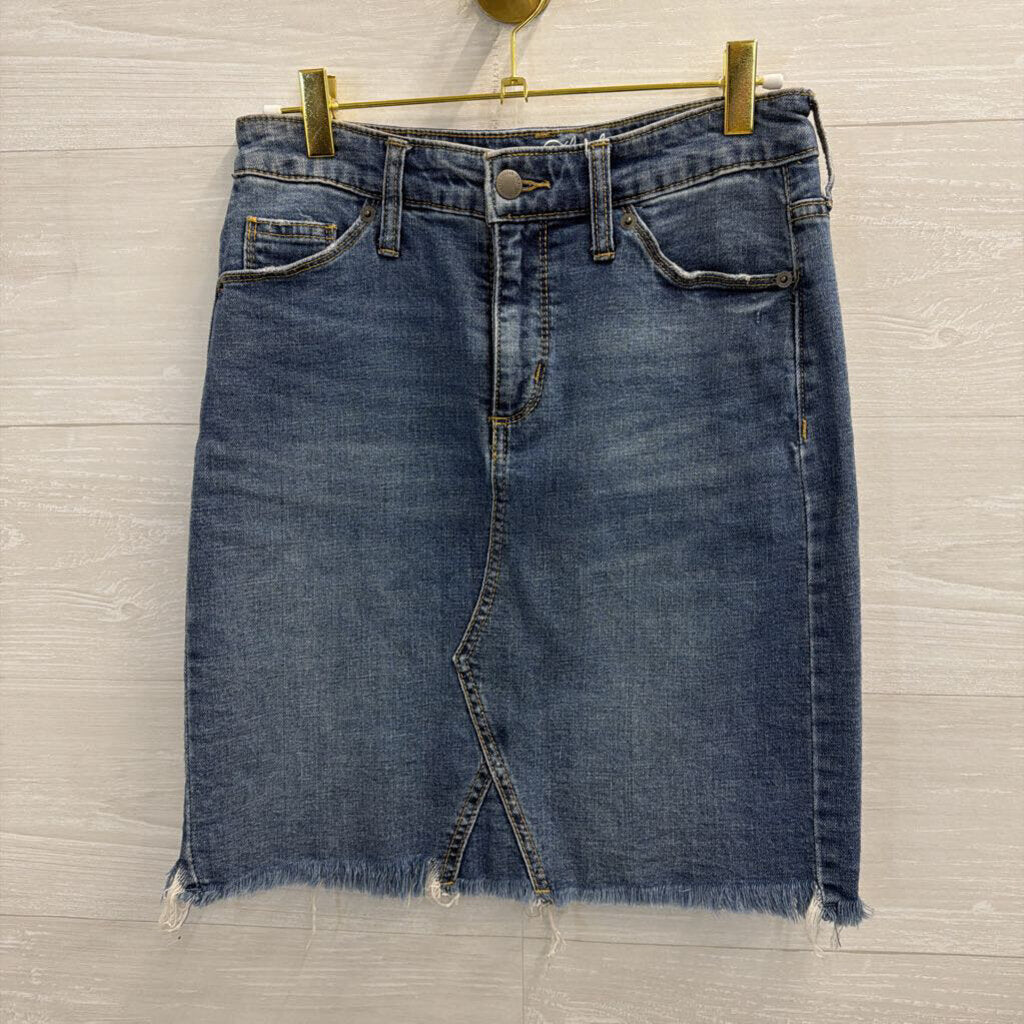 Medium Wash Denim Skirt 27