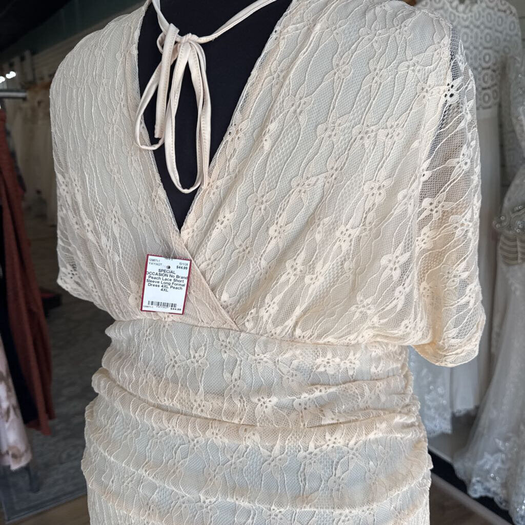 Peach Lace Short Sleeve Long Formal Dress 4XL