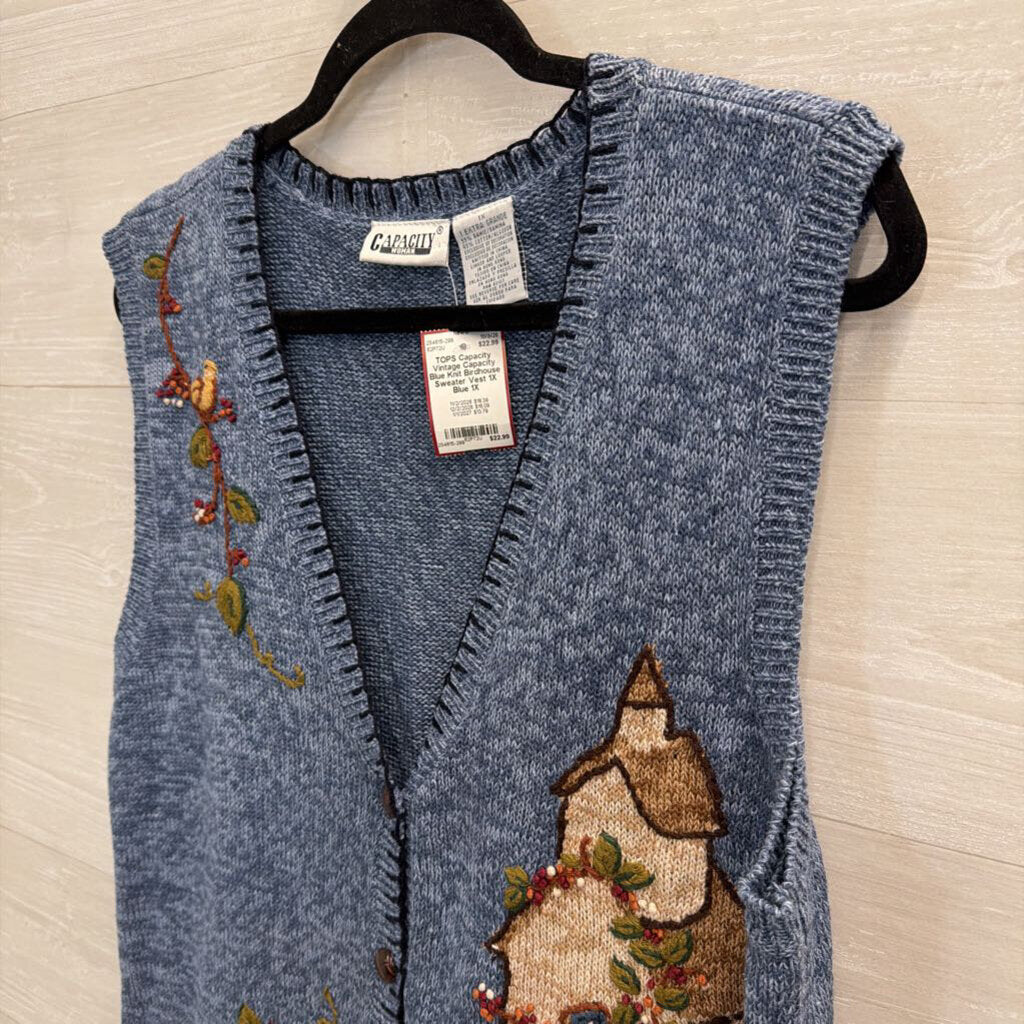 Vintage Capacity Blue Knit Birdhouse Sweater Vest 1X