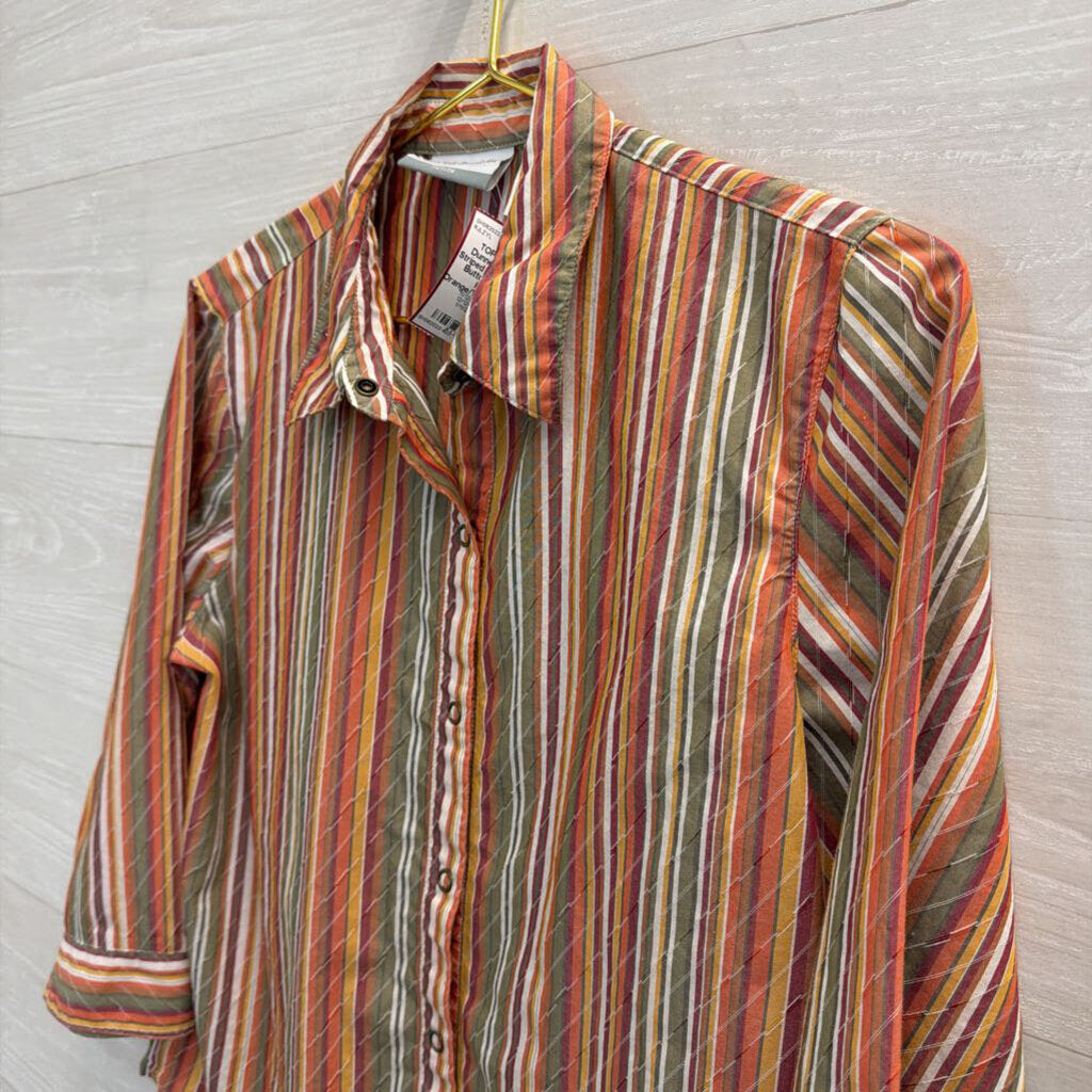 Vintage Striped Orange/Multi Button Down 8 Petite
