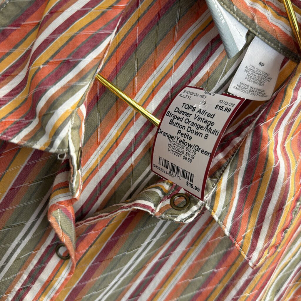 Vintage Striped Orange/Multi Button Down 8 Petite