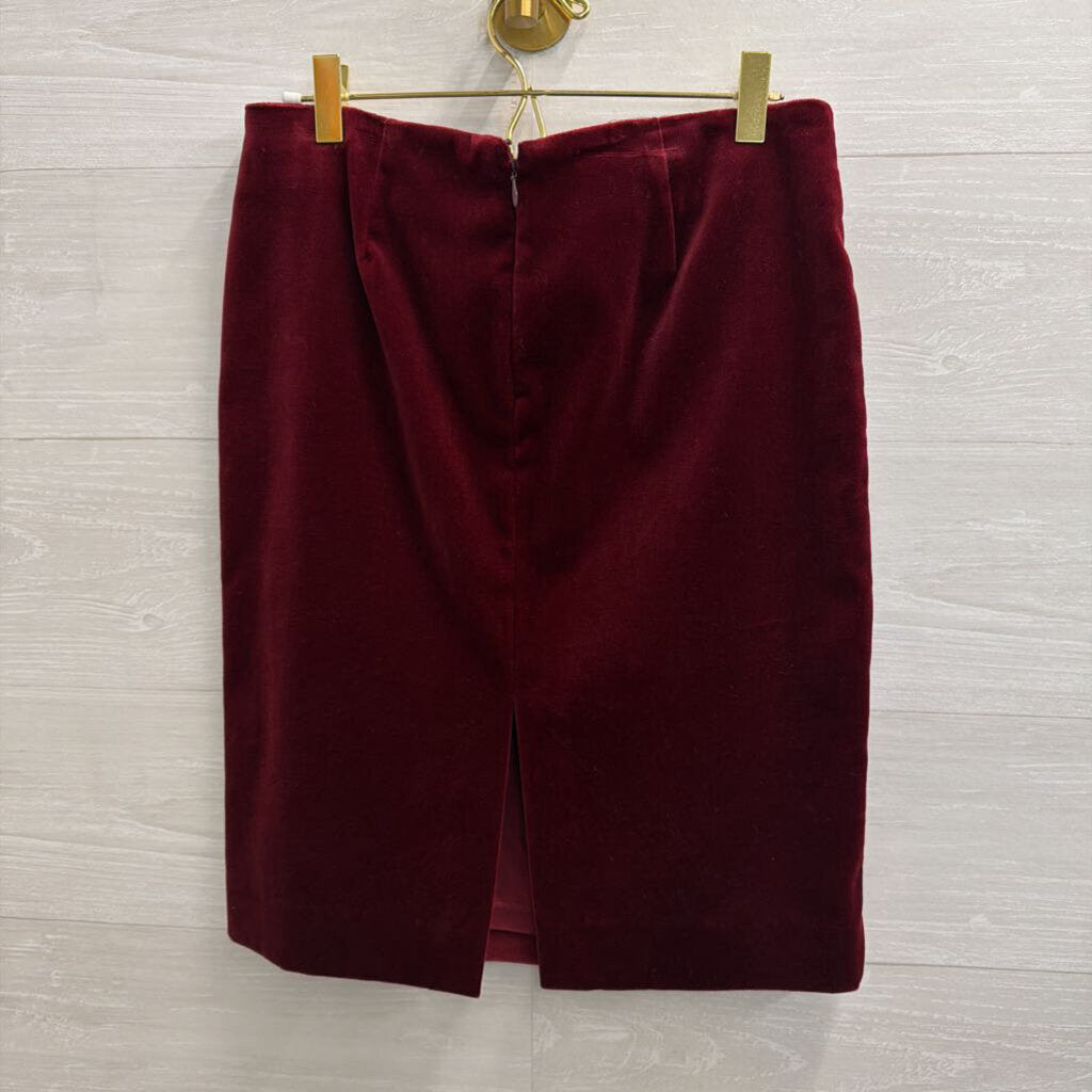 Velvet Mini Burgundy Skirt 6