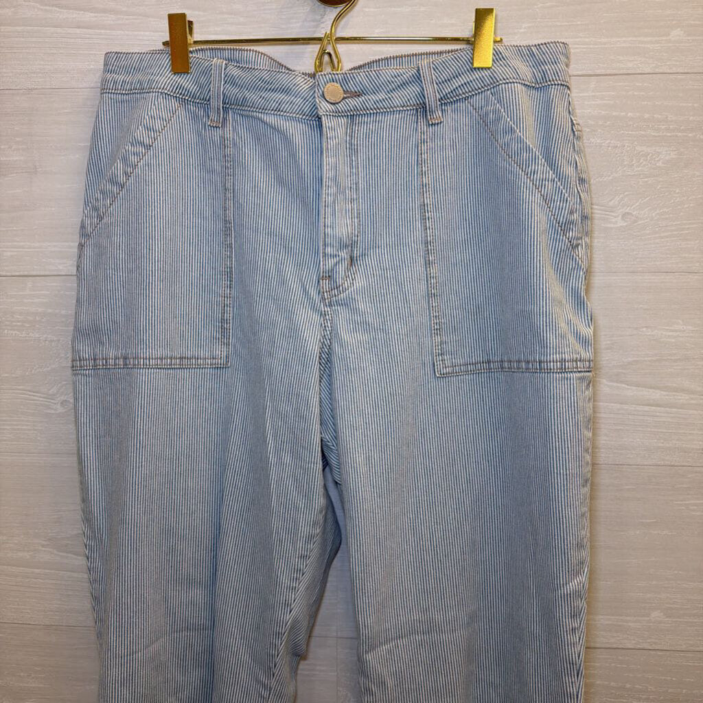 Copper Flash White/ Blue Striped Pants 14
